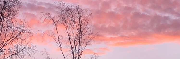 emmagems2's profile banner image