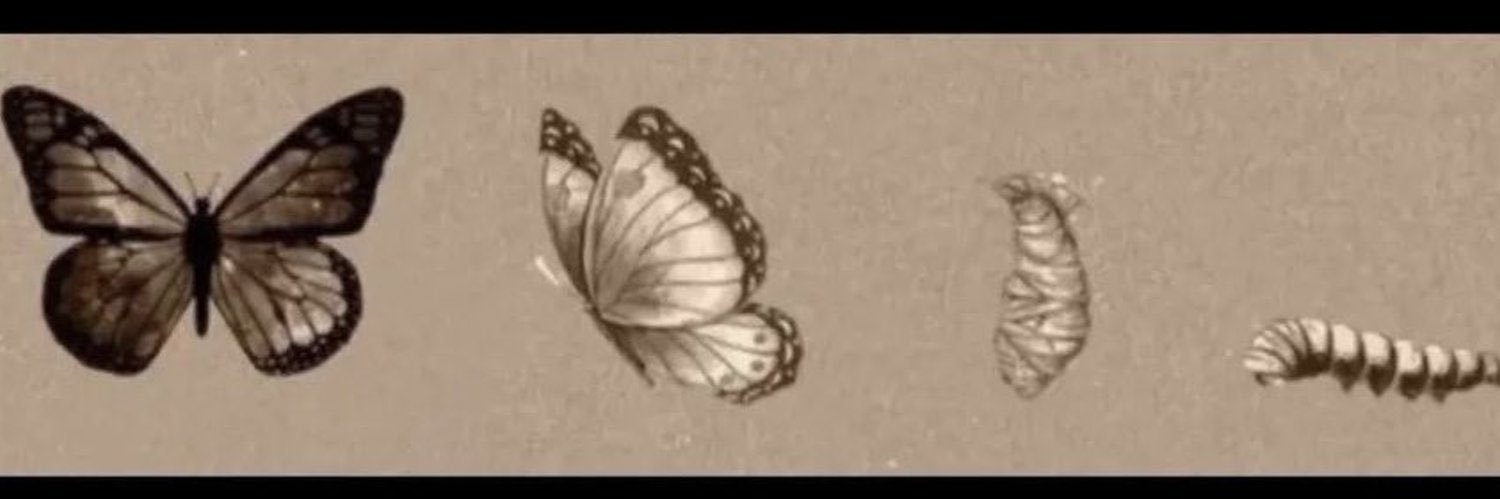 sevgi__00's profile banner image