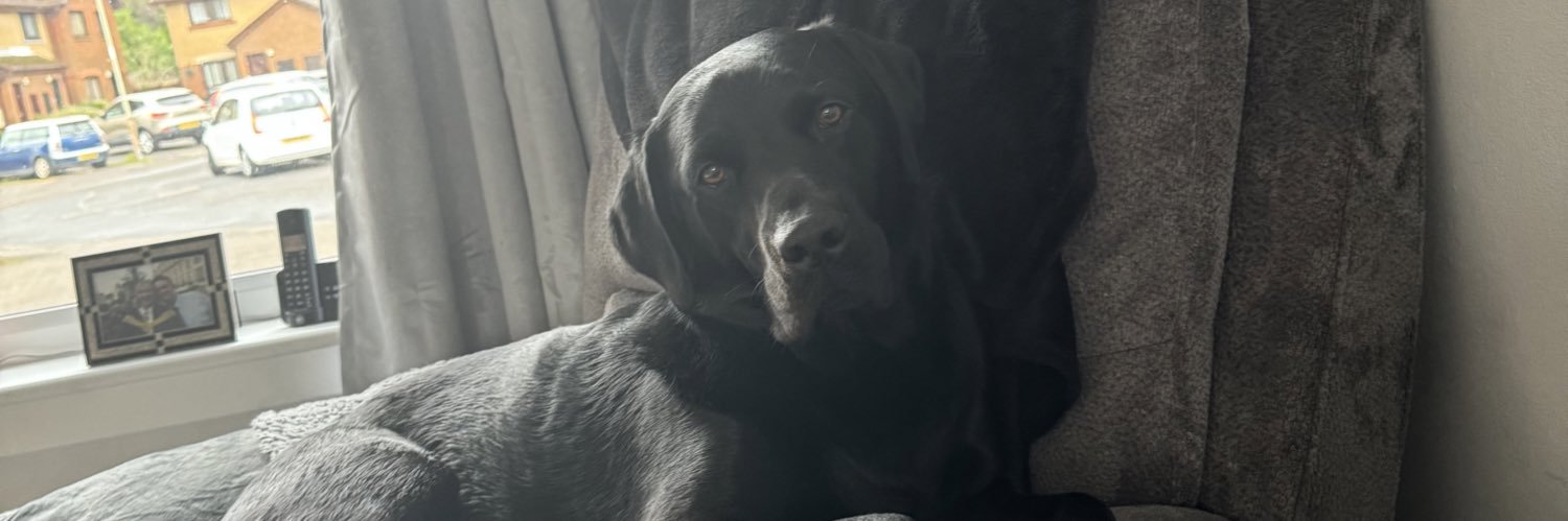 Louiseking23's profile banner image