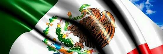 Nelson de León Segovia. banner