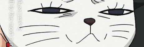 runa_rrrrrr's profile banner image