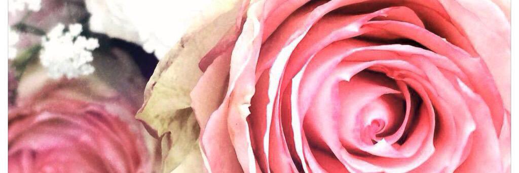noranoxx's profile banner image