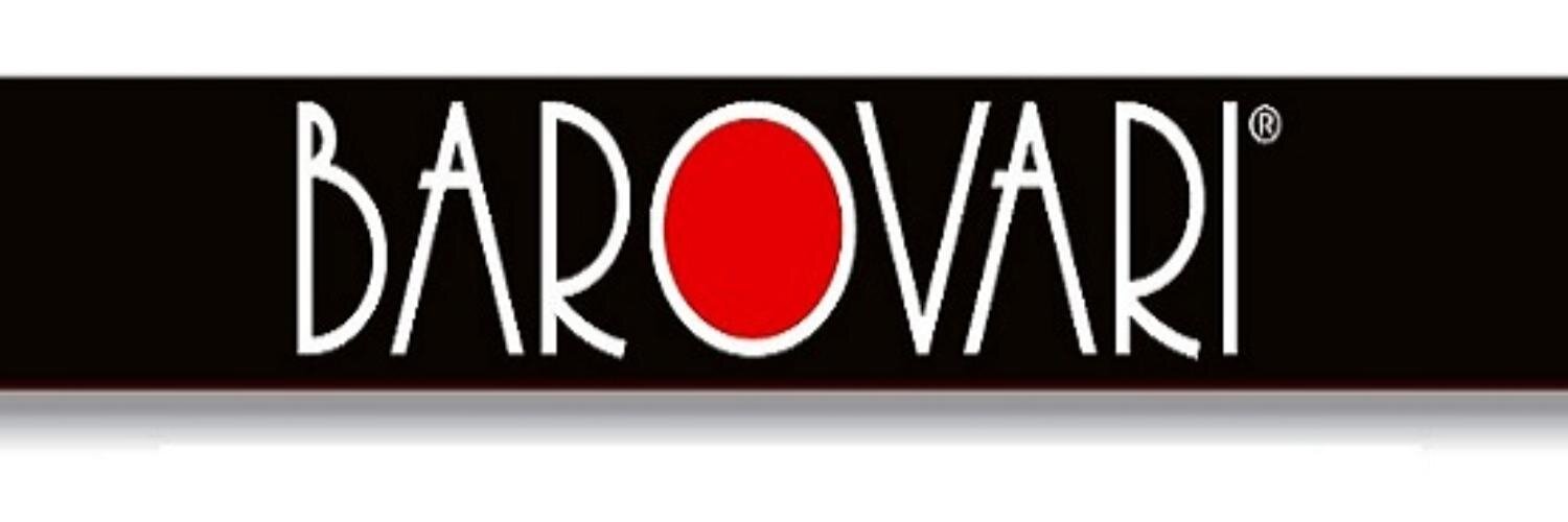 Barovari Esports banner