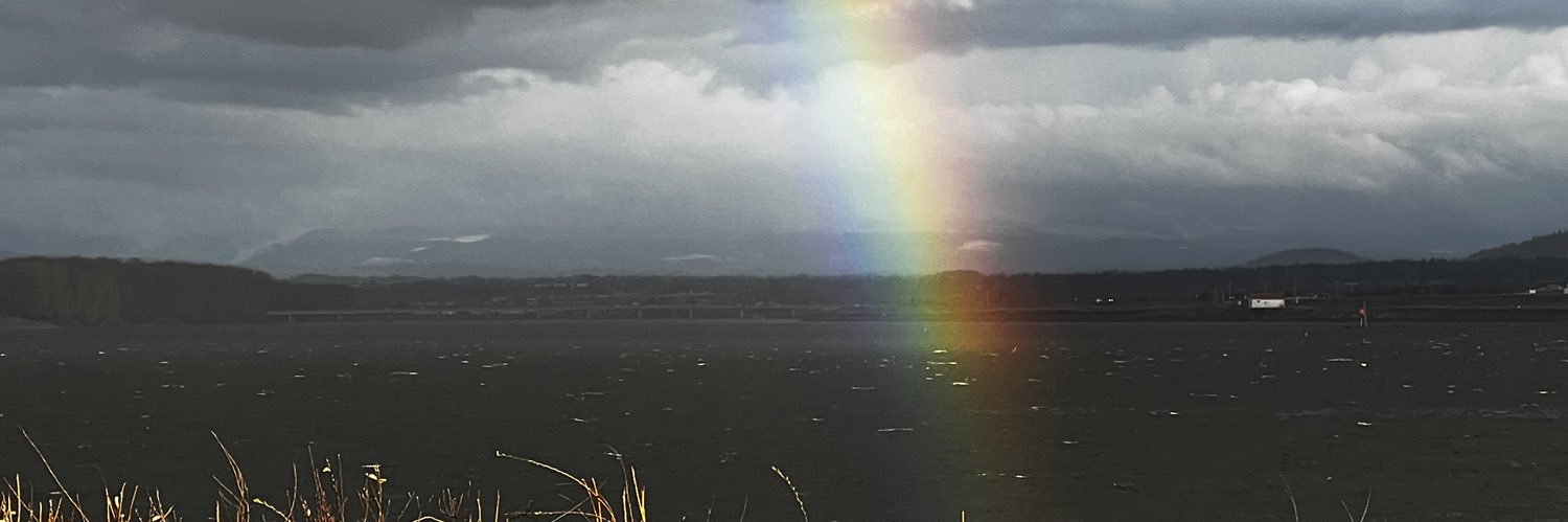 stacywray's profile banner image