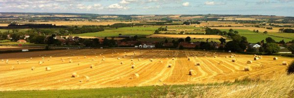 aimeetoze Profile Banner