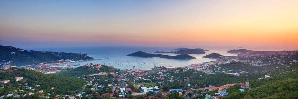 swarm on these hands 🥷 banner