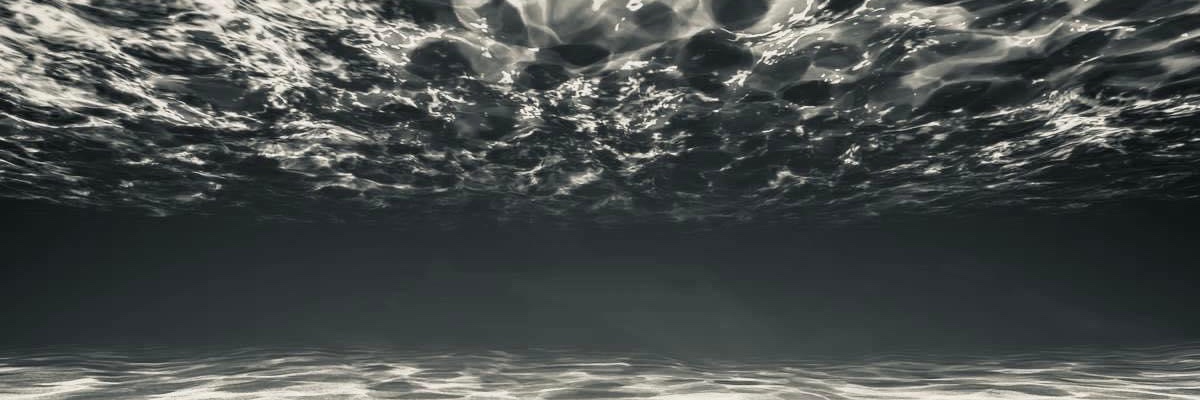 Sarah Porter 🦋 banner