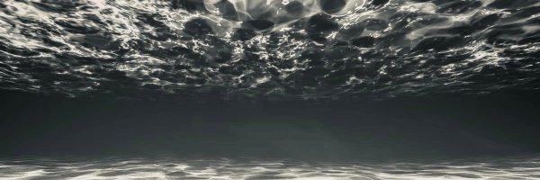 SColesPorter Profile Banner
