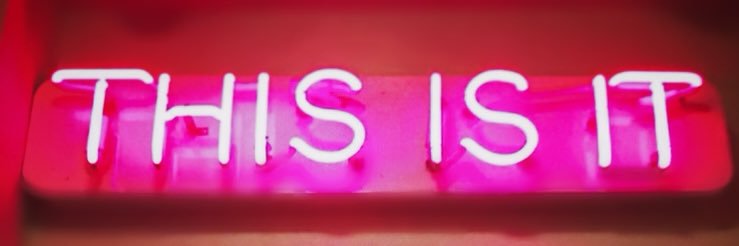feminist next door's banner