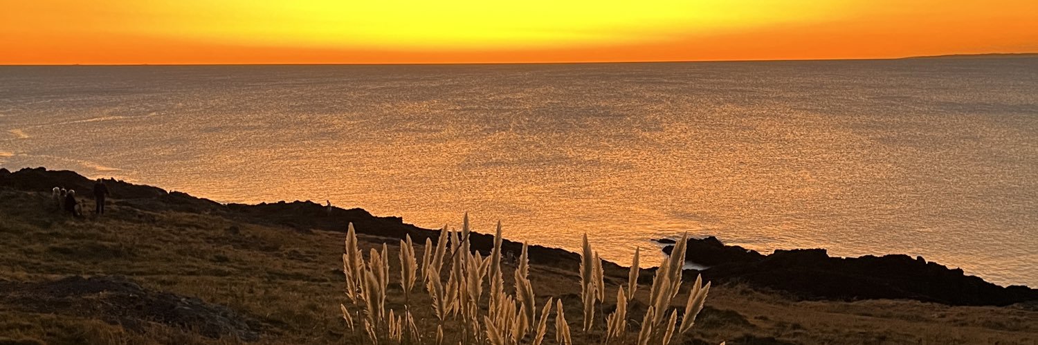 luciomandel's profile banner image