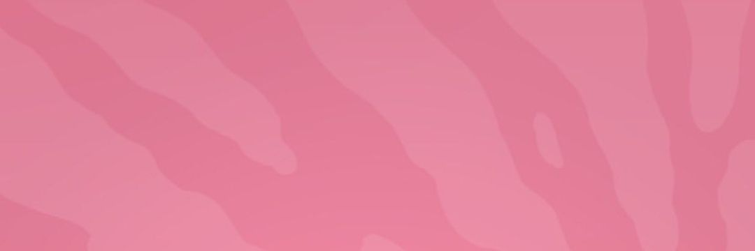 SoniaML_'s profile banner image