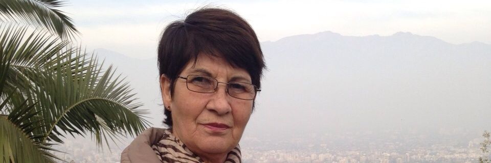nelidarojasb's profile banner image