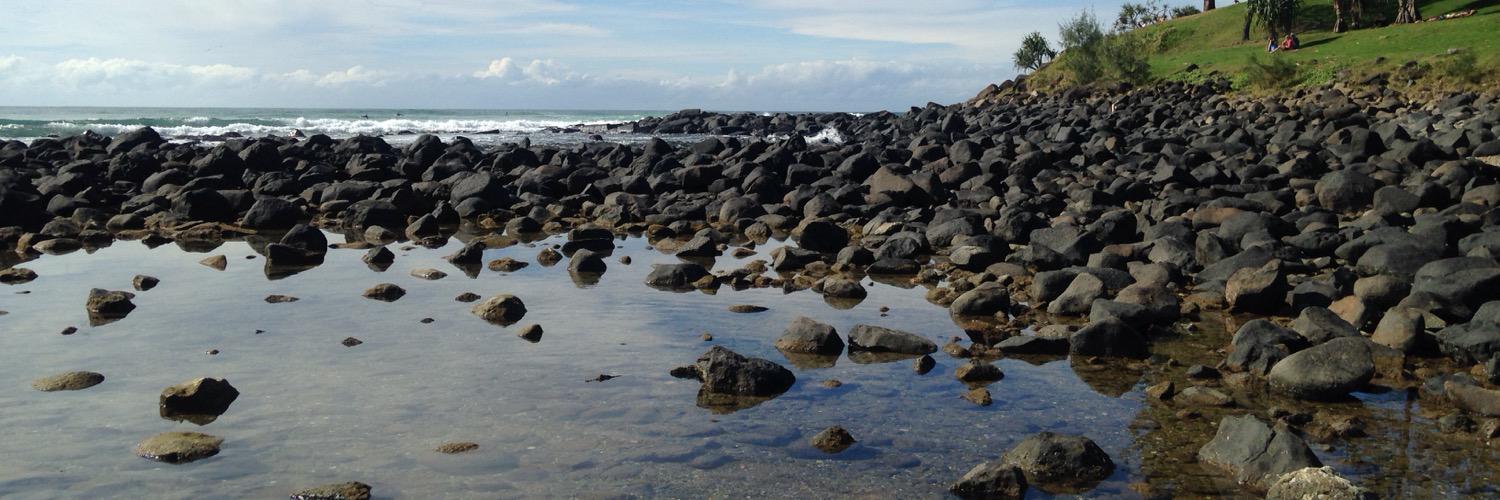 Kevan Holland banner