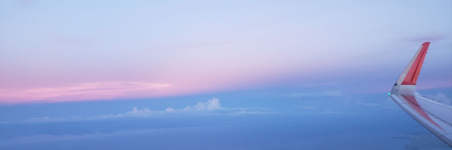 Minnu__'s profile banner image