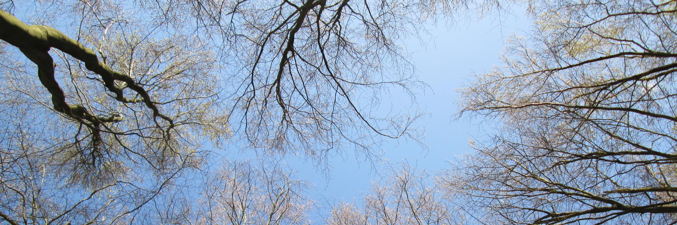 JenettaJames's profile banner image