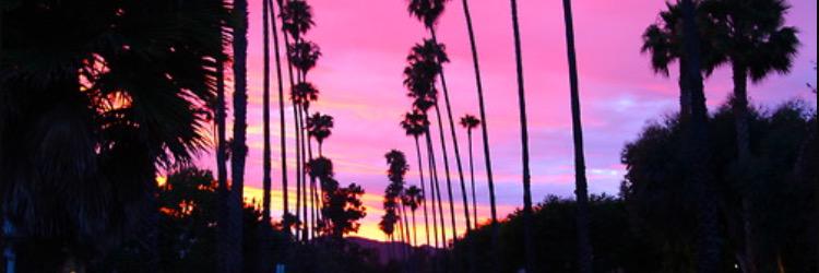 davefromthehood's profile banner image