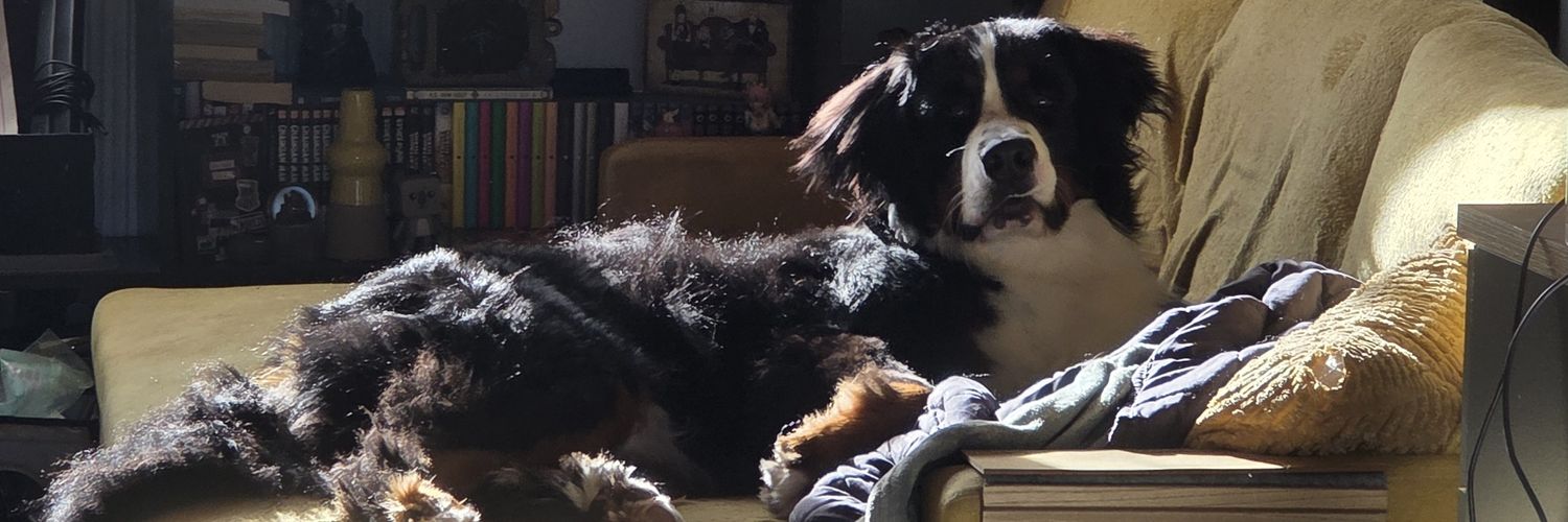 Cachouchoux's profile banner image