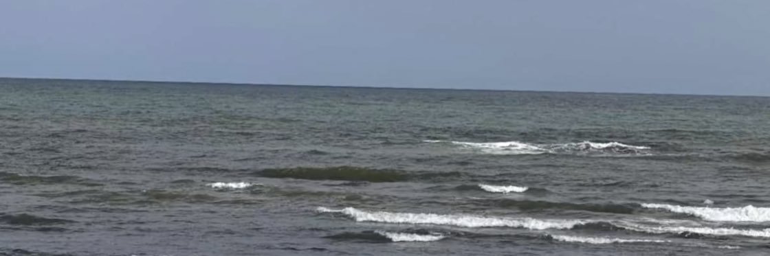 tm79977's profile banner image