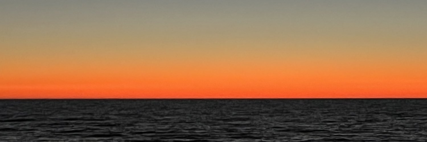 melissave's profile banner image