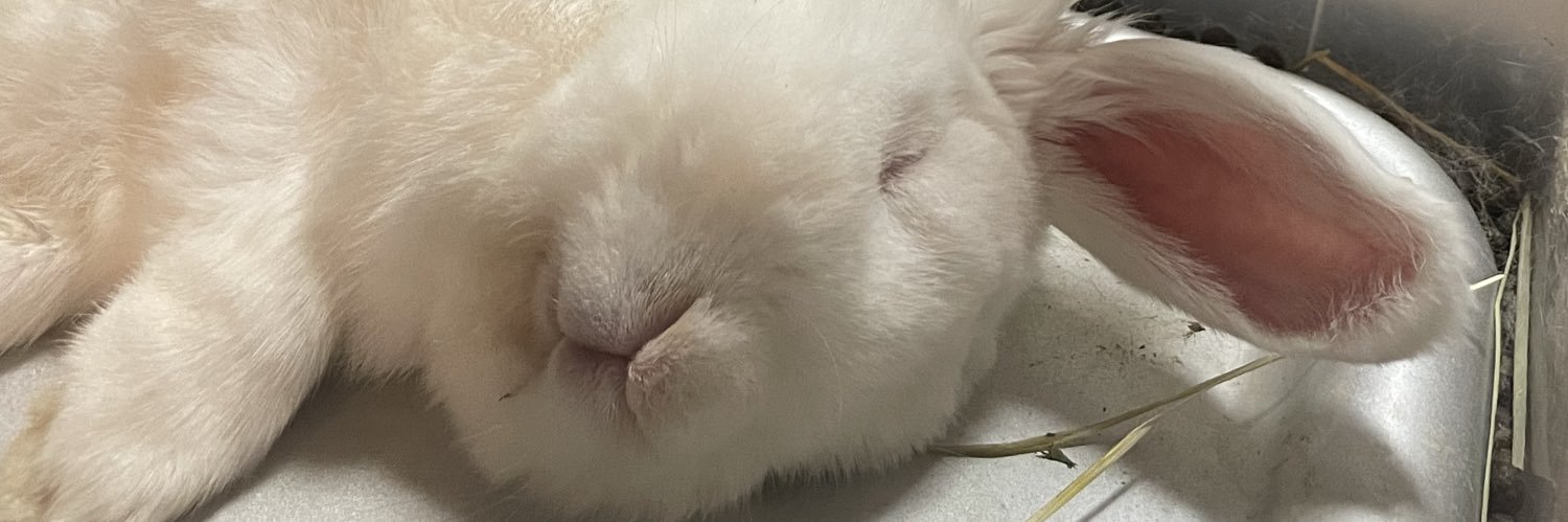 minighostben's profile banner image