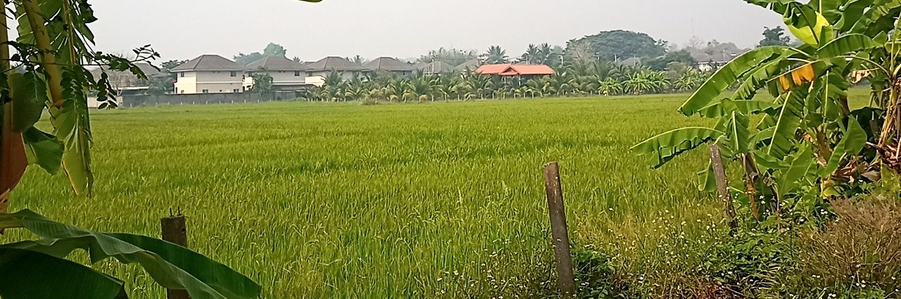farm16337's profile banner image