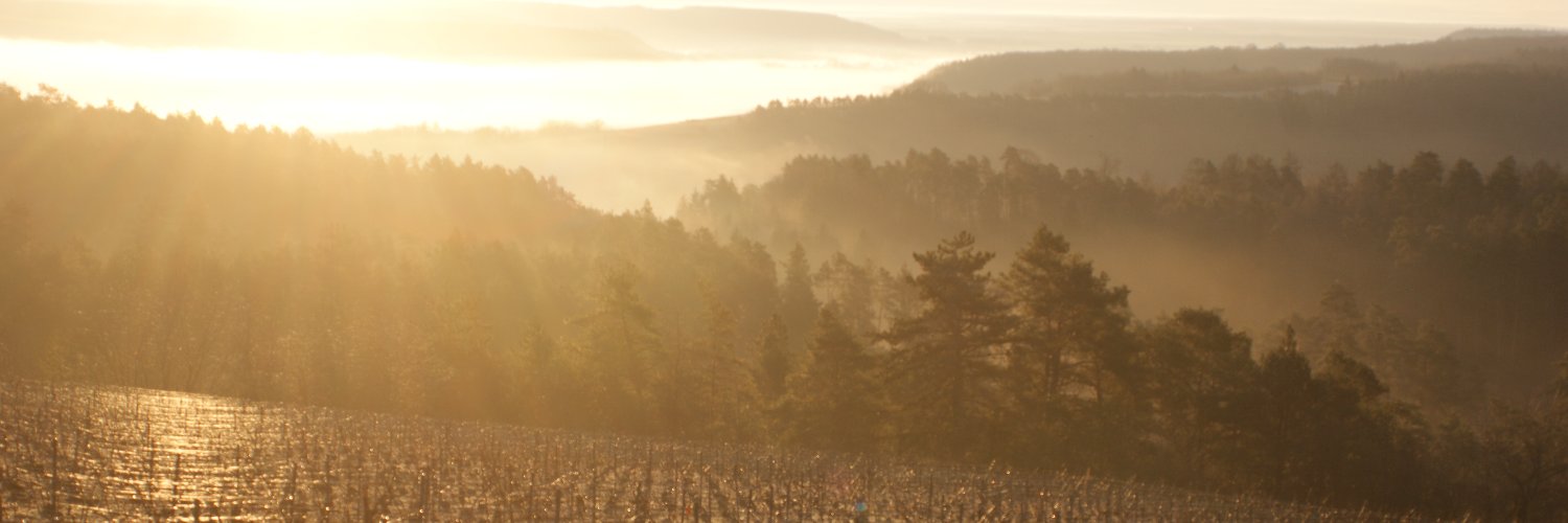 Pascal Cornet banner