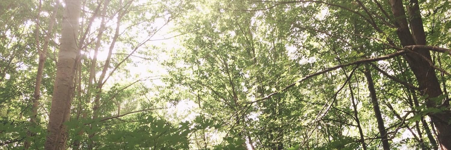BestKindofCrazy's profile banner image
