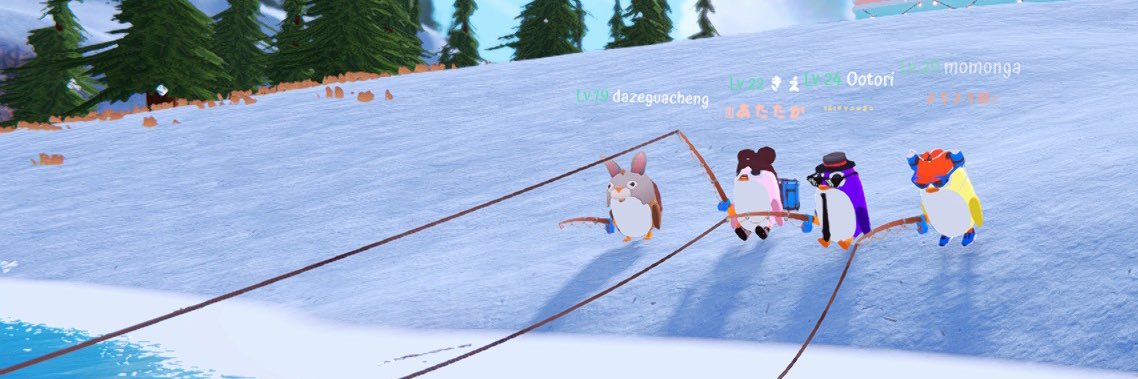 きえ🦝 banner