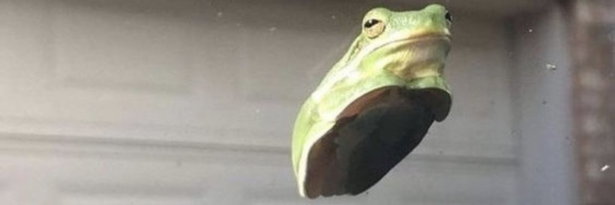deaddoest_'s profile banner image