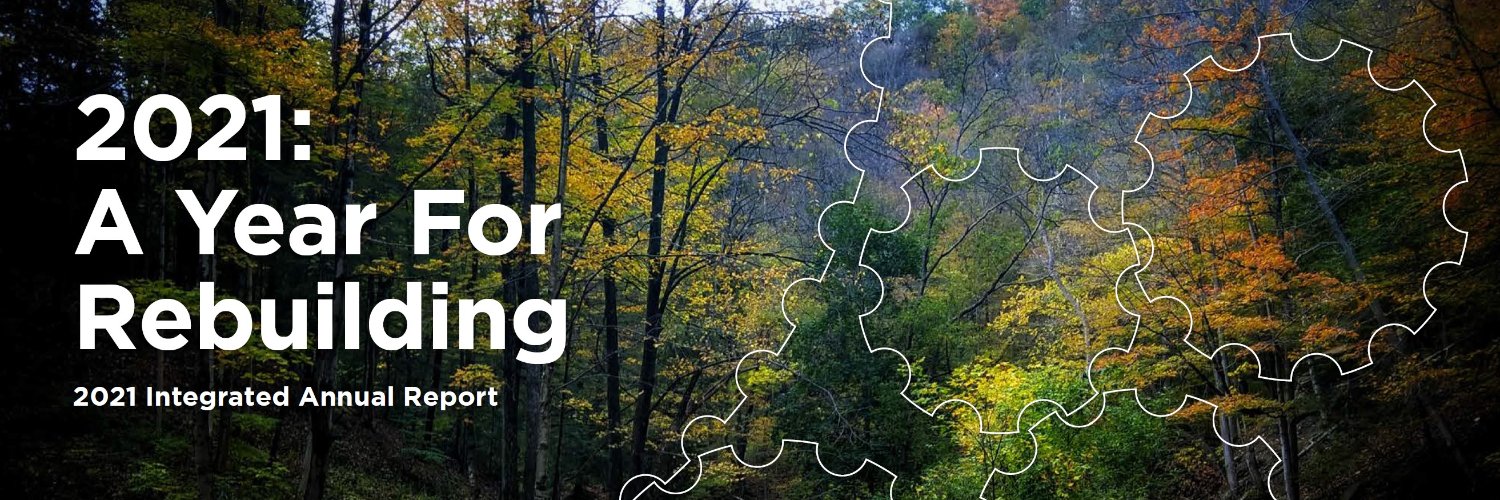 Ecotone Software banner