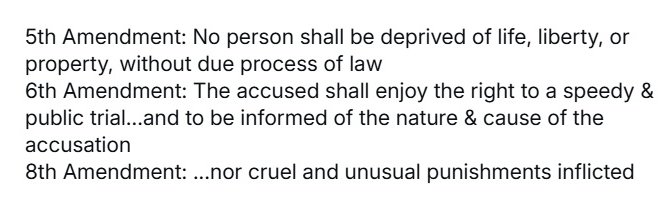 F e l l a Historian 🌻 @thisuserisdumb.bsky.social banner