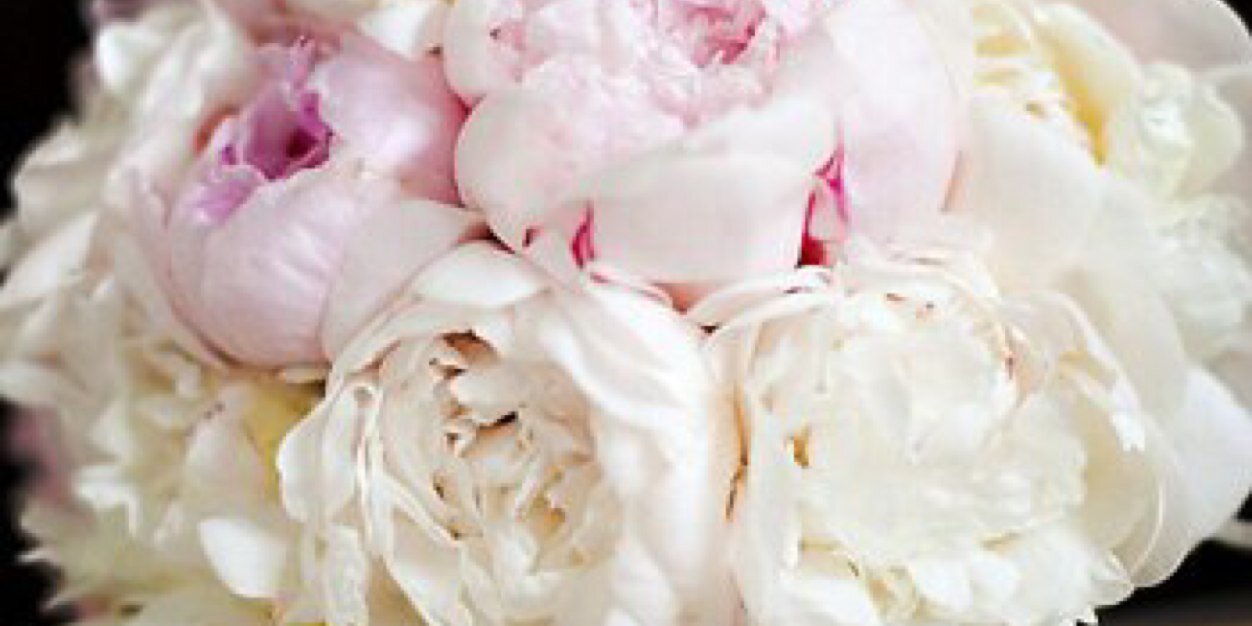 model_valeria's profile banner image