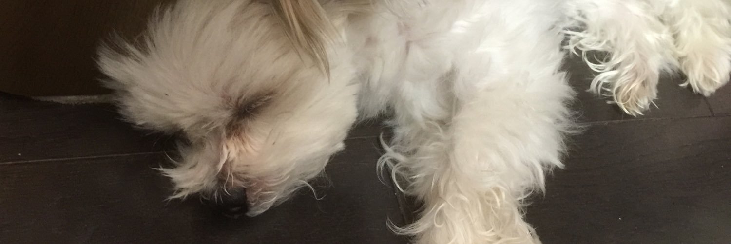aobaraidogmail1's profile banner image
