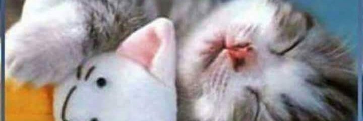 alexbbhdz's profile banner image