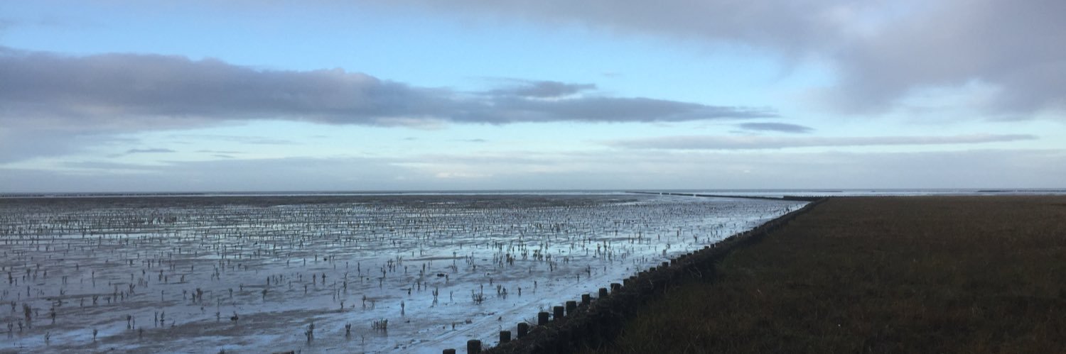 Mariëtte de Visser banner