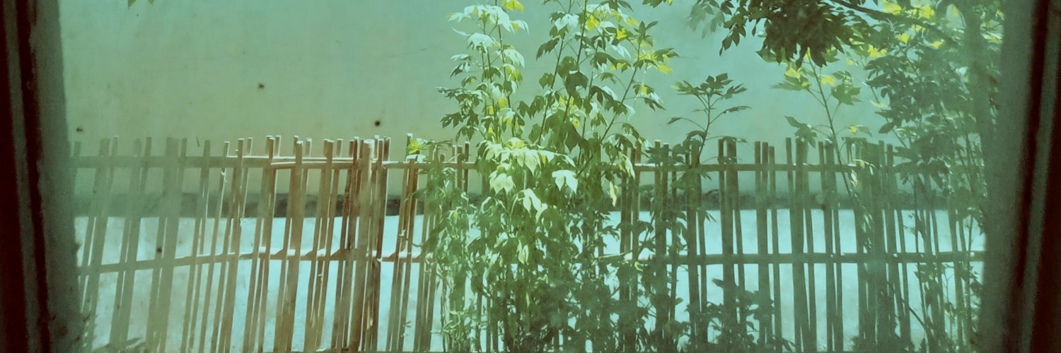 megeniusa's profile banner image