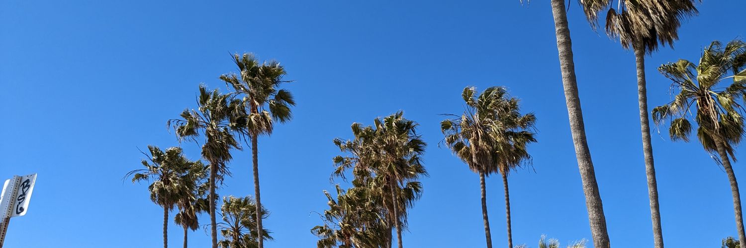 TepNoMusic's profile banner image