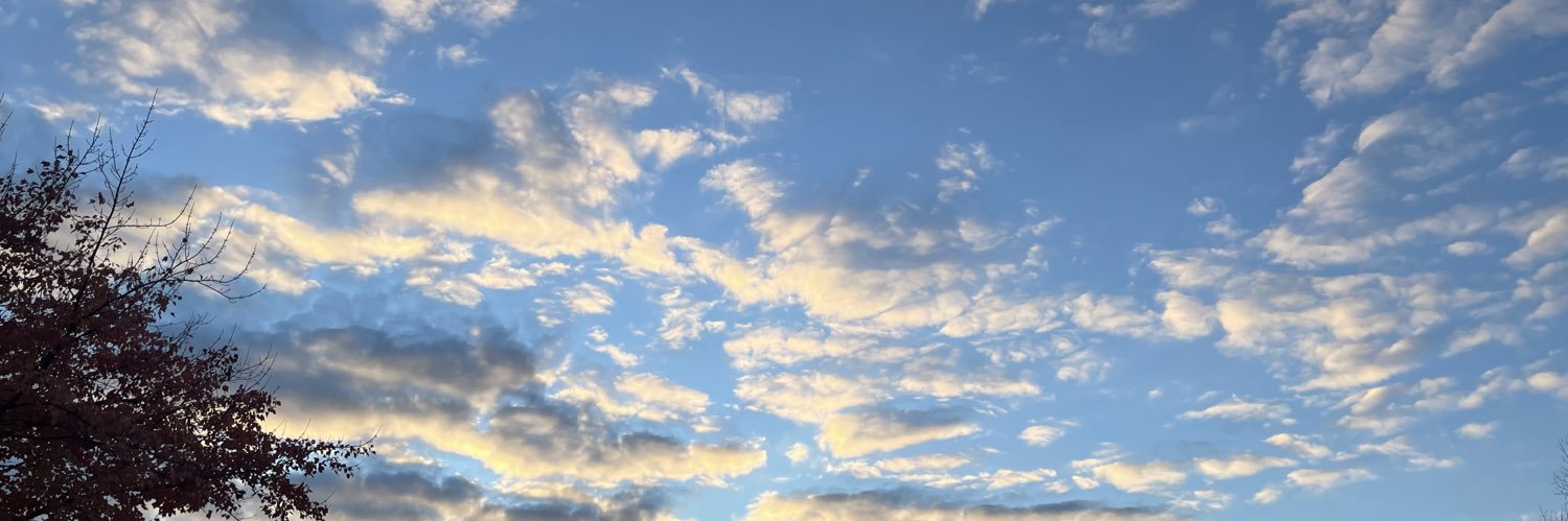 martinimarks's profile banner image