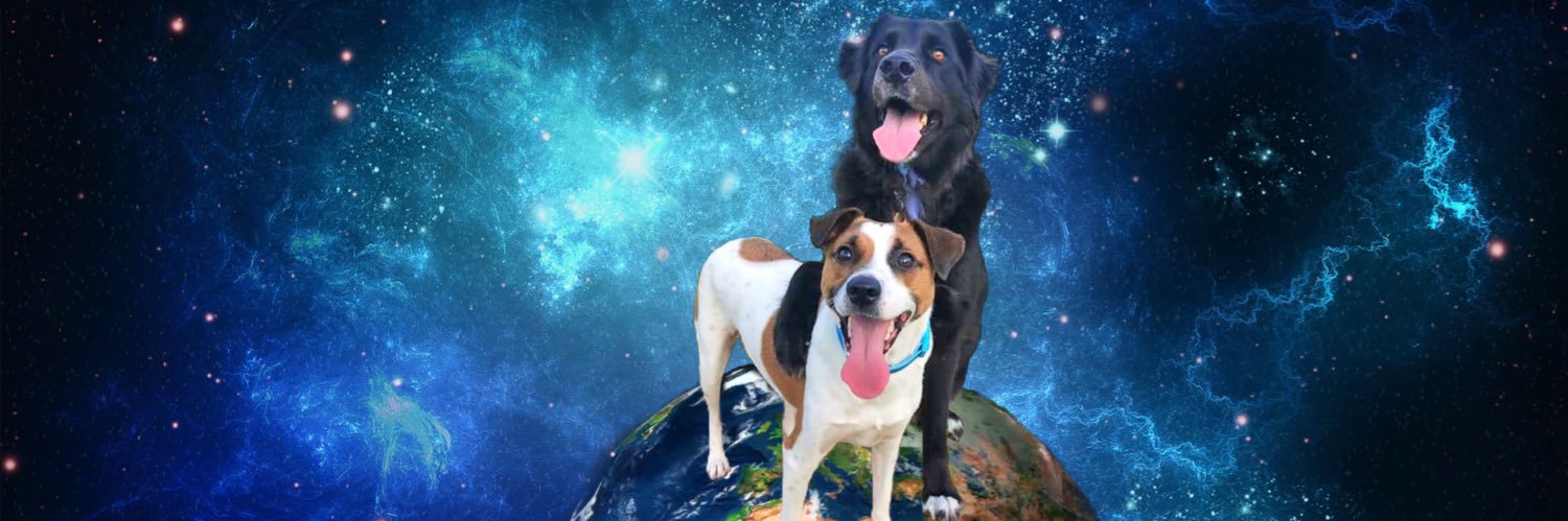Raynerd_69's profile banner image