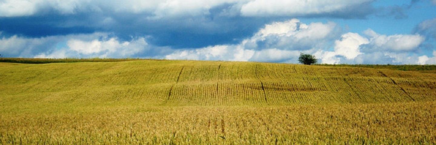 IssuesUSASPAC's profile banner image