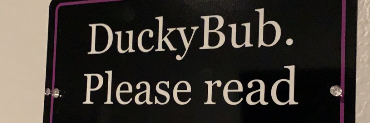 DuckybubArtemis's profile banner image