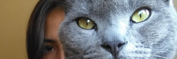NekisGo's profile banner image