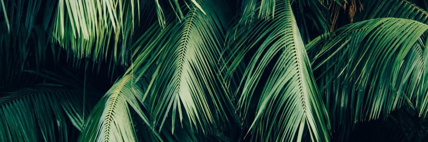 mnroumi_'s profile banner image