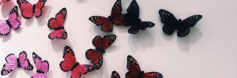 ChestnutLacey's profile banner image