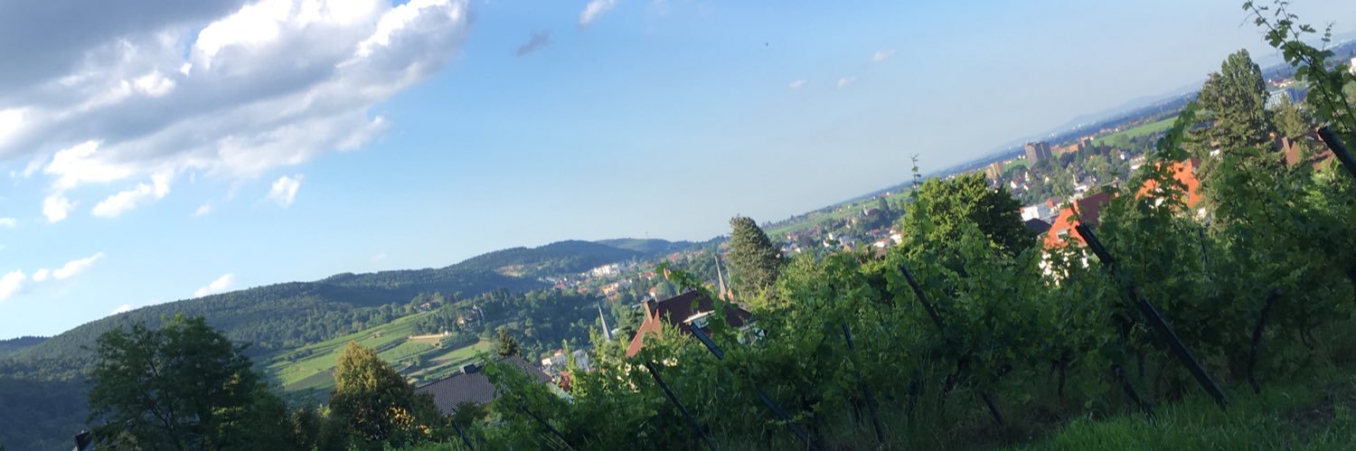 MeisterOpfer's profile banner image
