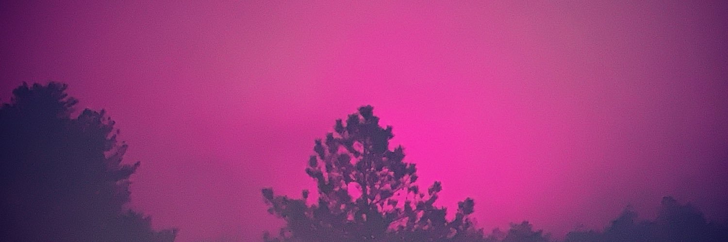 dhailey13's profile banner image