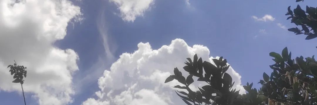 zleppart's profile banner image