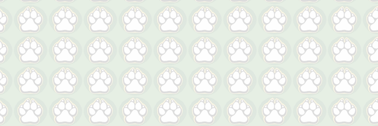 HHS_HuskyHub's profile banner image