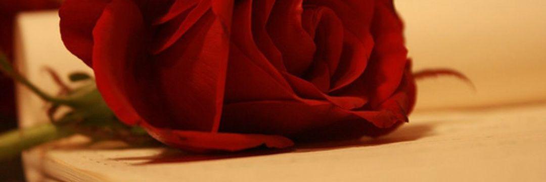 boomoff1411's profile banner image