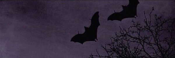 anxiousweirdoo Profile Banner